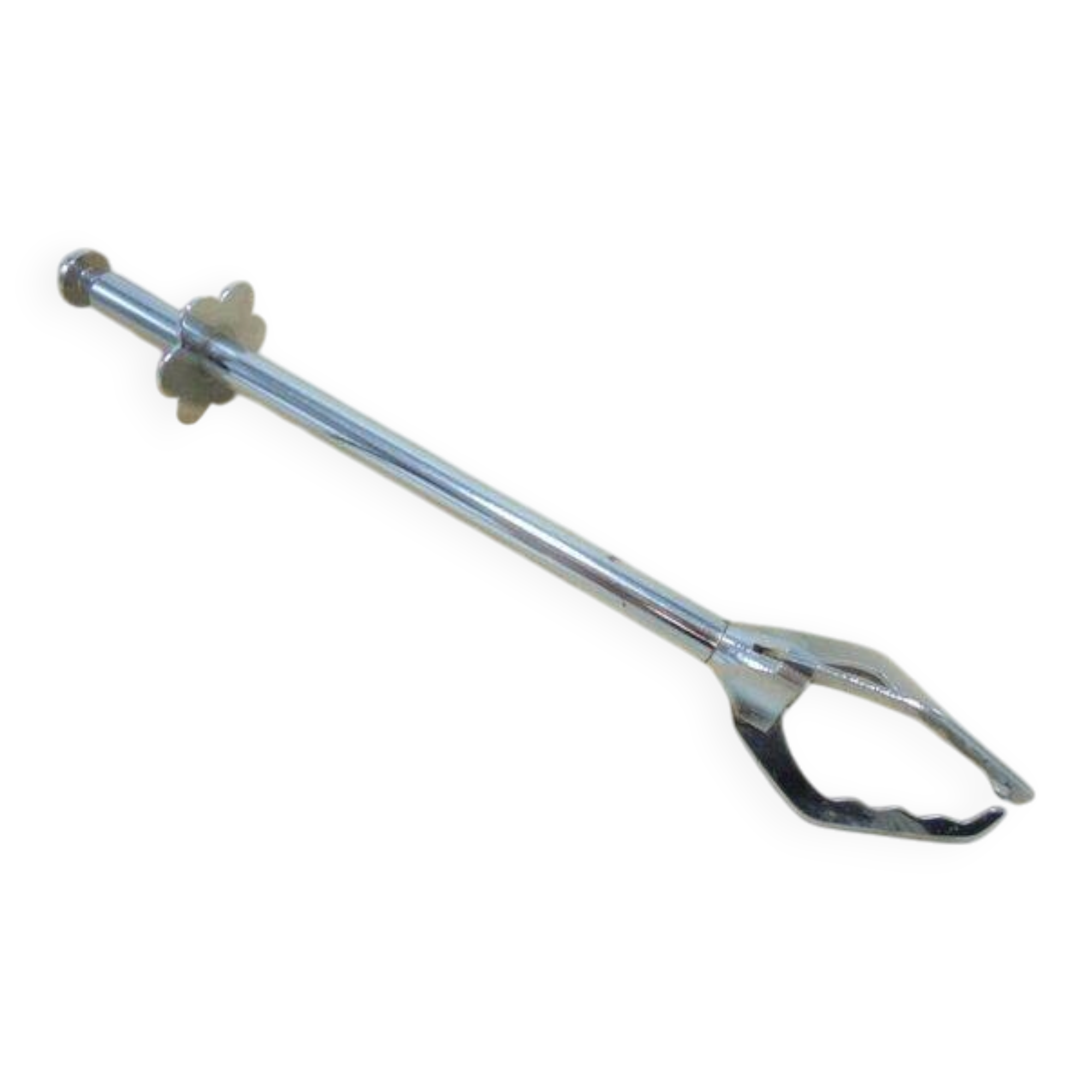 Ice tongs