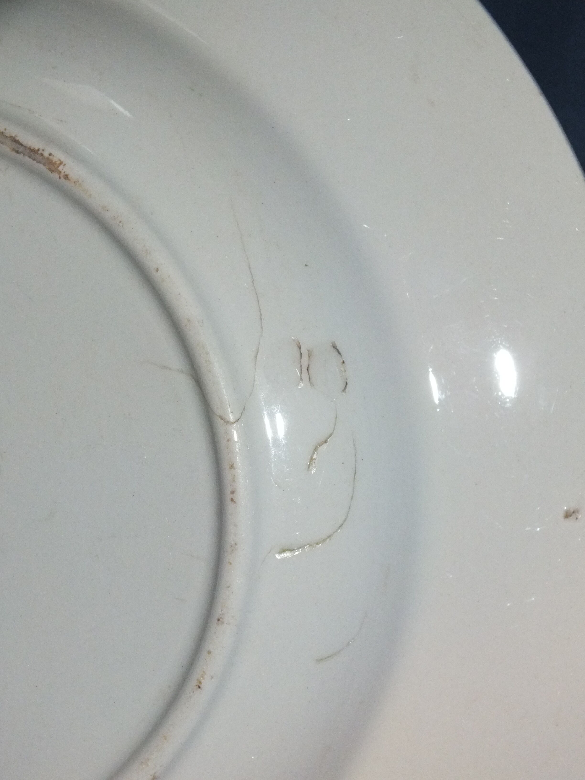 5 Digoin Sarreguemines vintage plates - pampres service