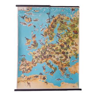 School map of the fauna and flora of Europe