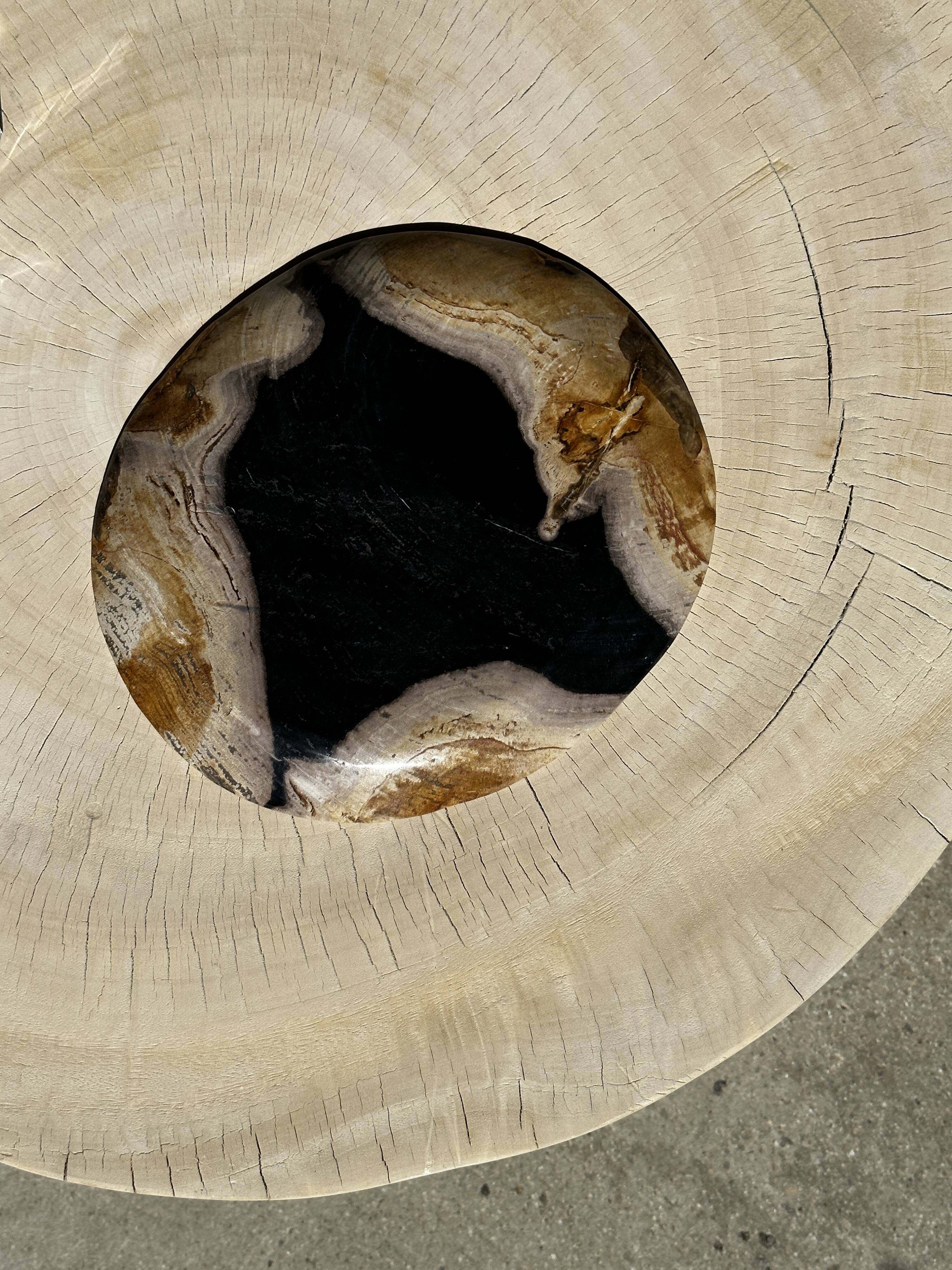 Empty pocket or dish in medium petrified wood
