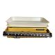 Old yellow scale