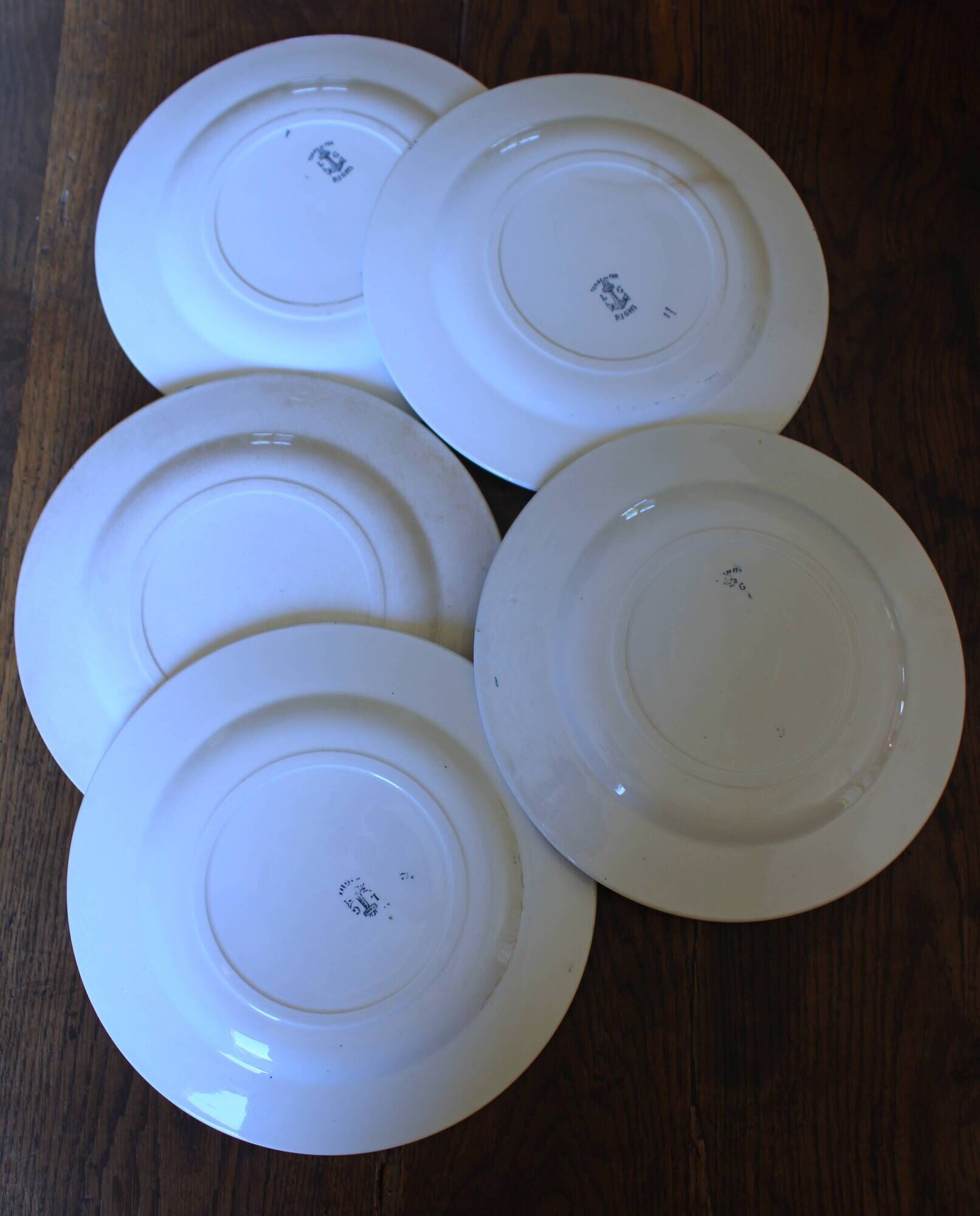 A set of 5 flat plates Chardon Bleu Terre de Fer Clairefontaine Righi