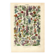 Antique engraving 1923 - Flowers by A. Millot - Bohemian nature lithograph