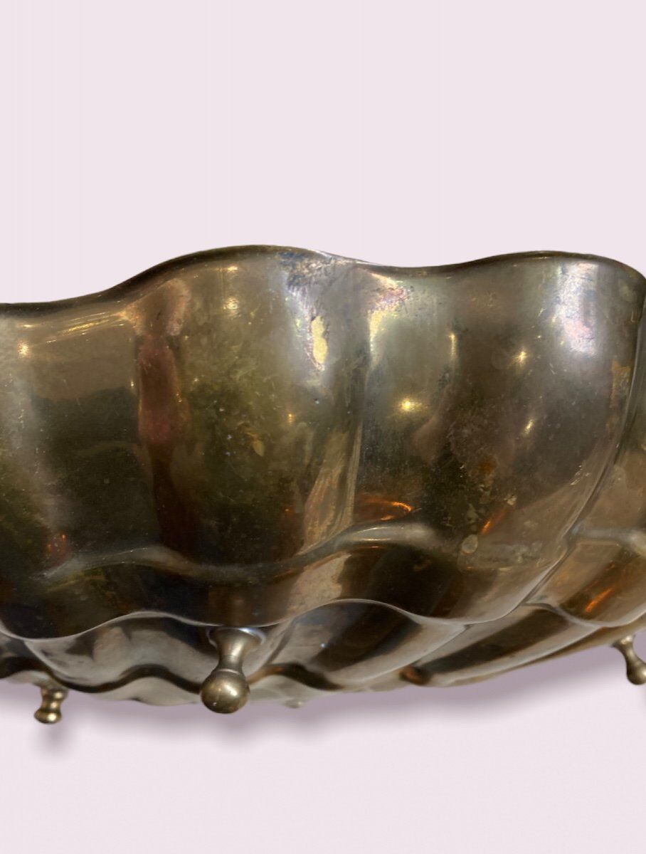Golden Shell Brass Cup