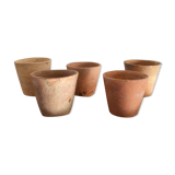 Old seedling pots 7/8 cm