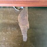 Desk box mahogany empire 1930