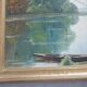 Painted framed lake landscape signed geo rousseau 1967
