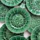 10 old dessert plates in Sarreguemines vine leaf slip