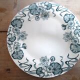 5 flat plates saline