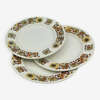 Royal Tudor Ware Vintage Side Plates