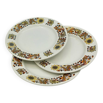 Assiettes latérales vintage Royal Tudor Ware