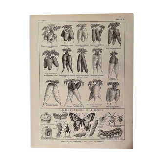 Lithograph on cores from 1921