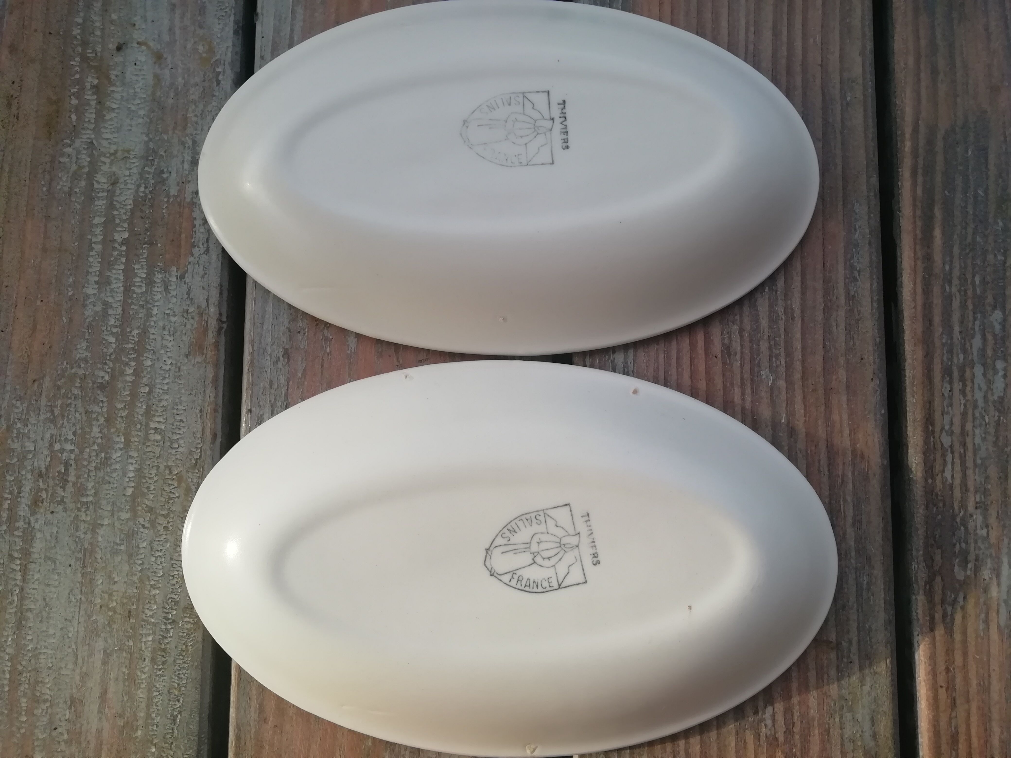 Pair of saline ravines