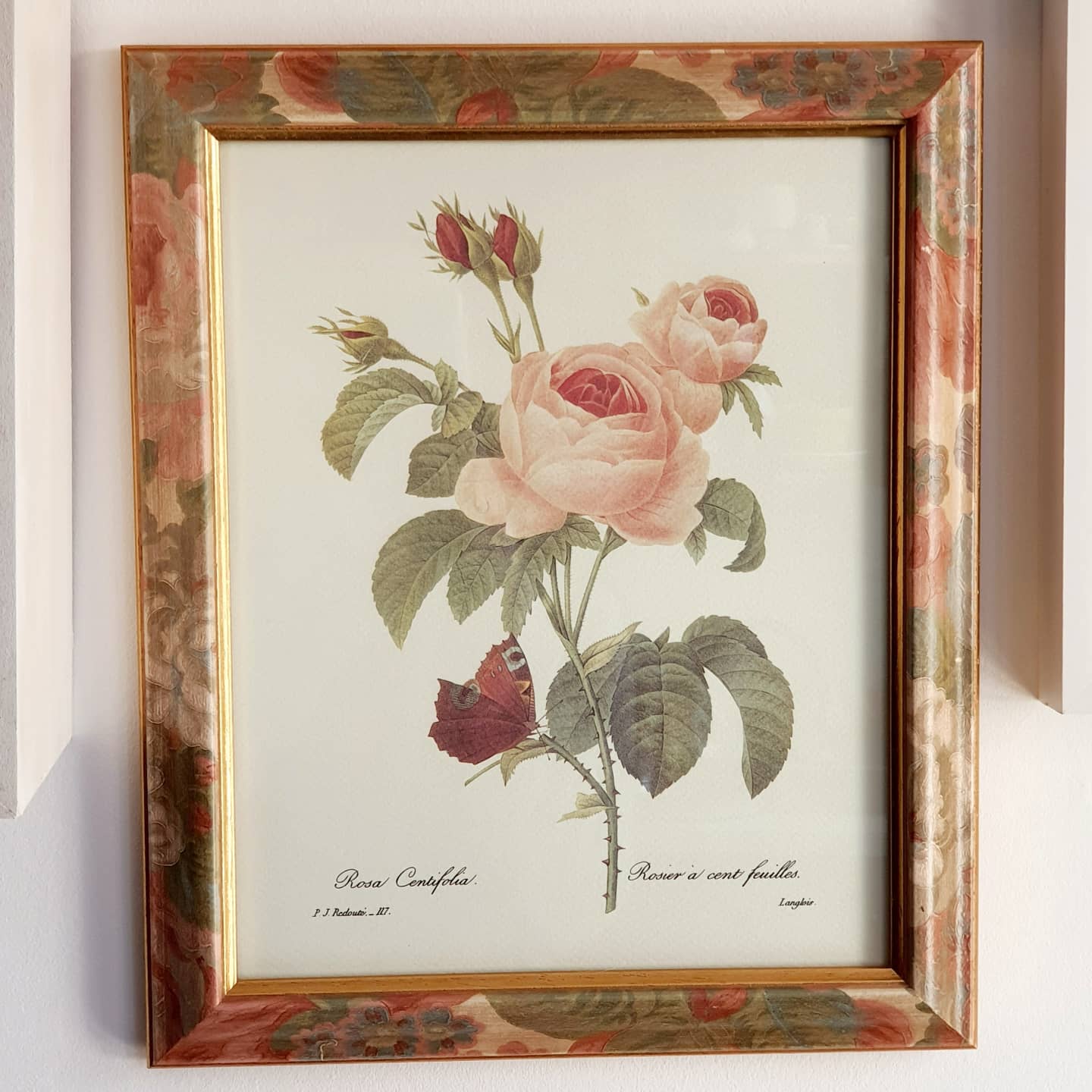 Table lithograph PJ Redouté Rosier 100 leaves 117