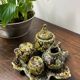 Vallauris fat lava ceramic condiment set
