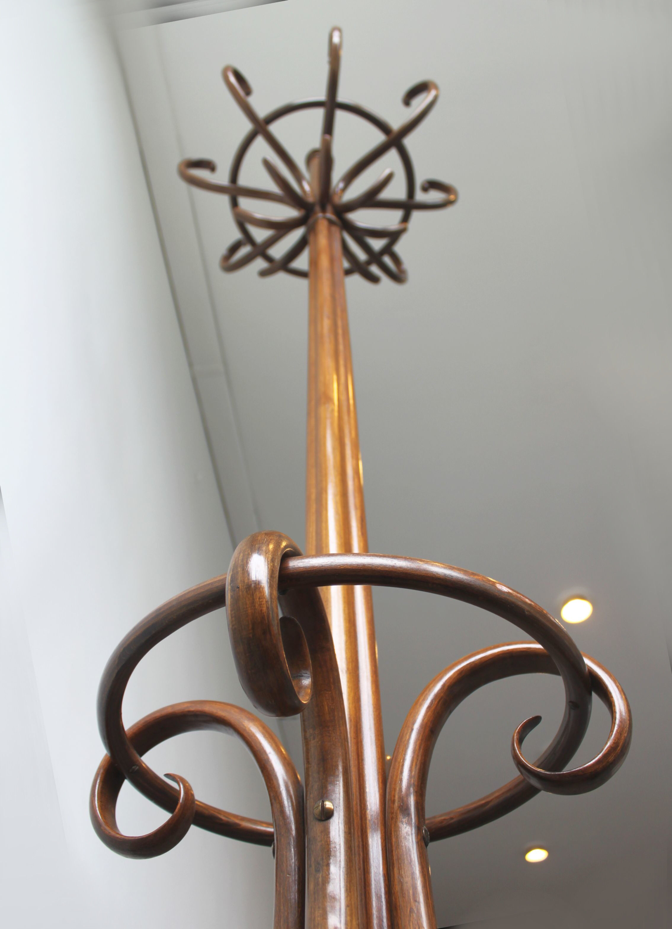 Parrot coat rack, model 10.401, XIXth.