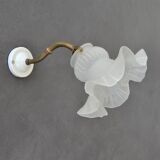 Vintage wall lamp, glass tulip lampshade, brass gooseneck support and blah porcelain