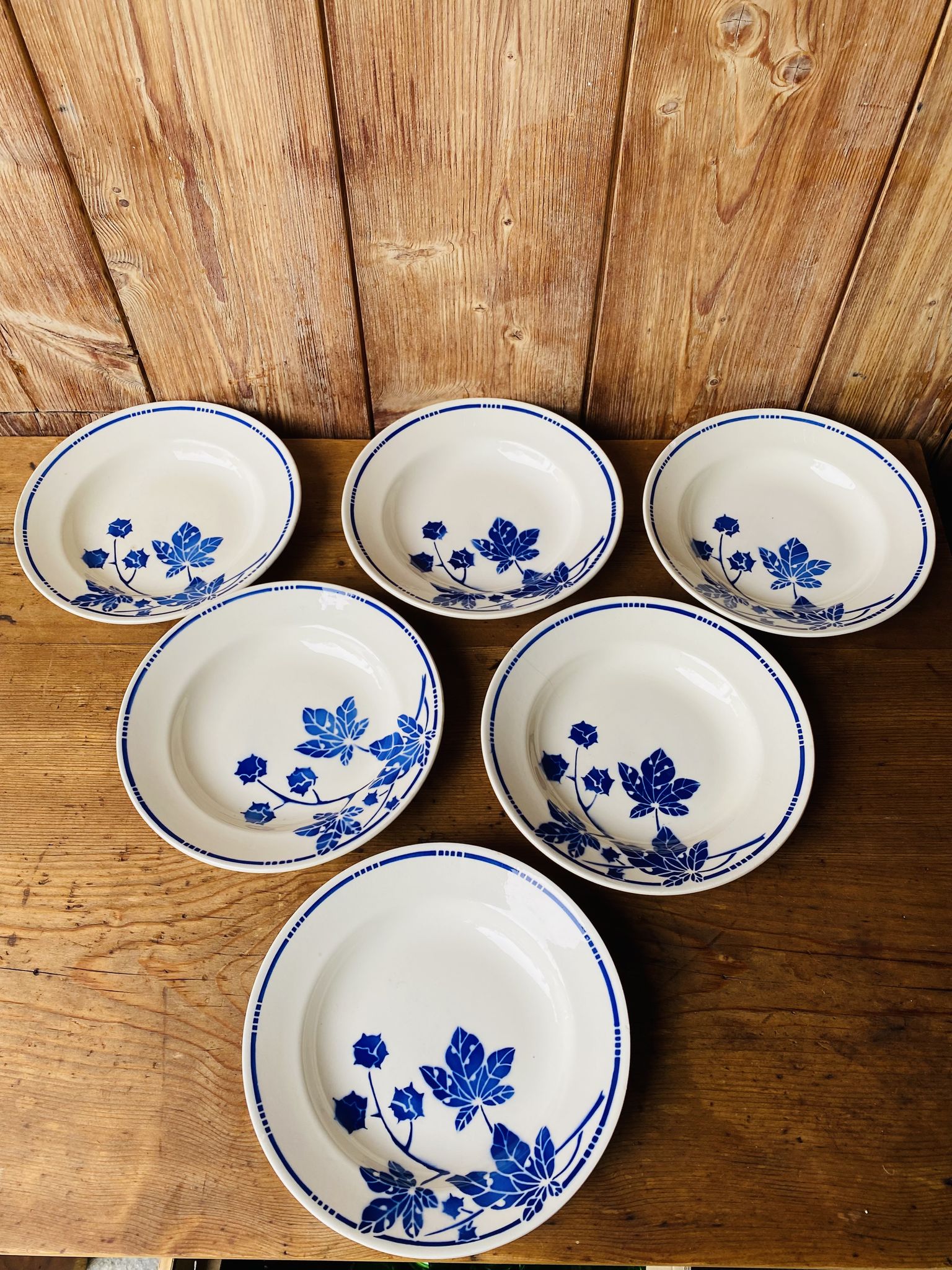 Set of 6 old hollow plates Badonvilleliers blue flower pattern