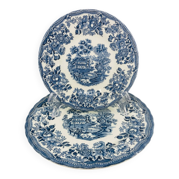 Duo d’Assiettes Myott  Meakin Modèle Tonquin