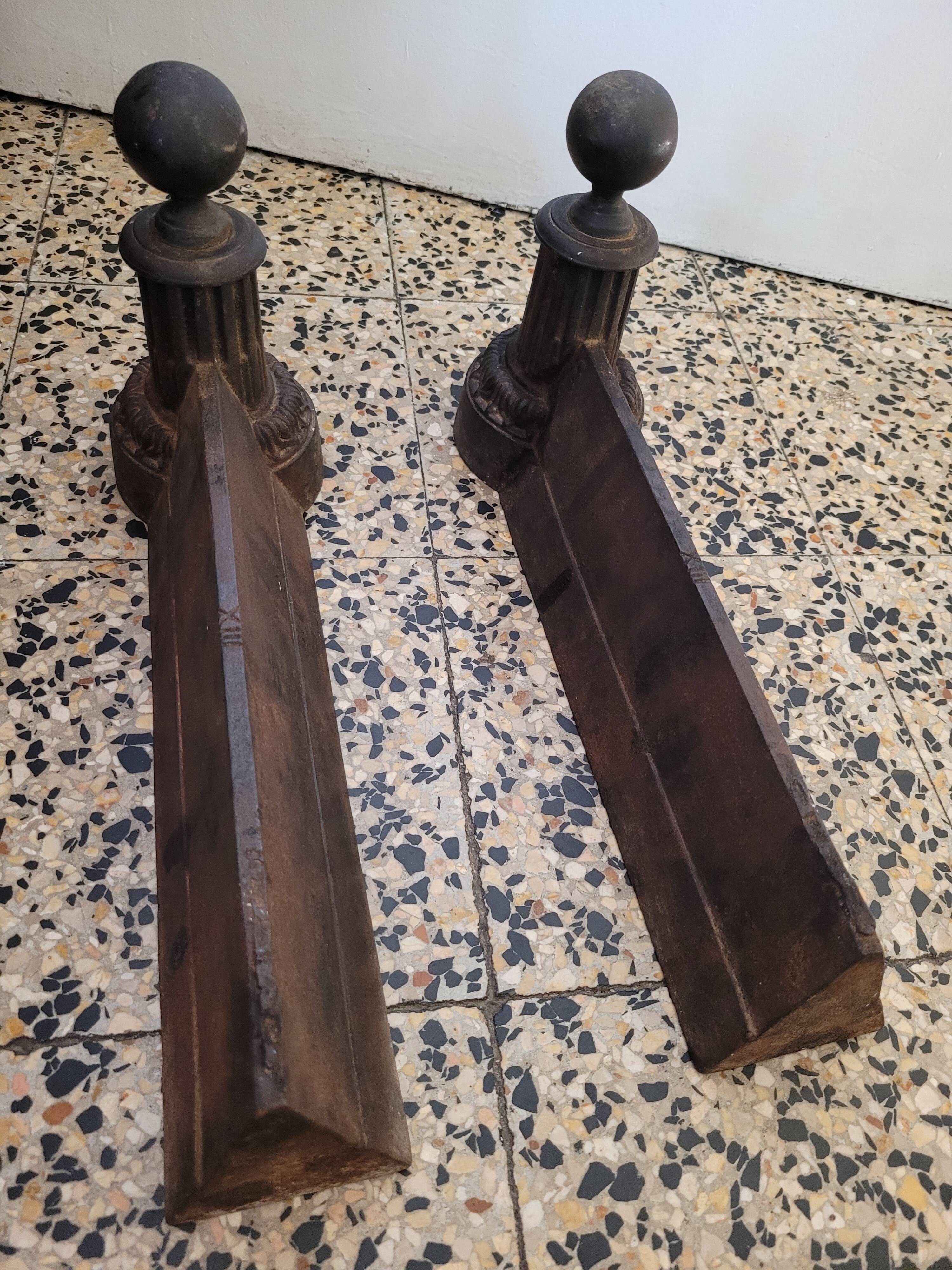 Beautiful pair of caterpillars