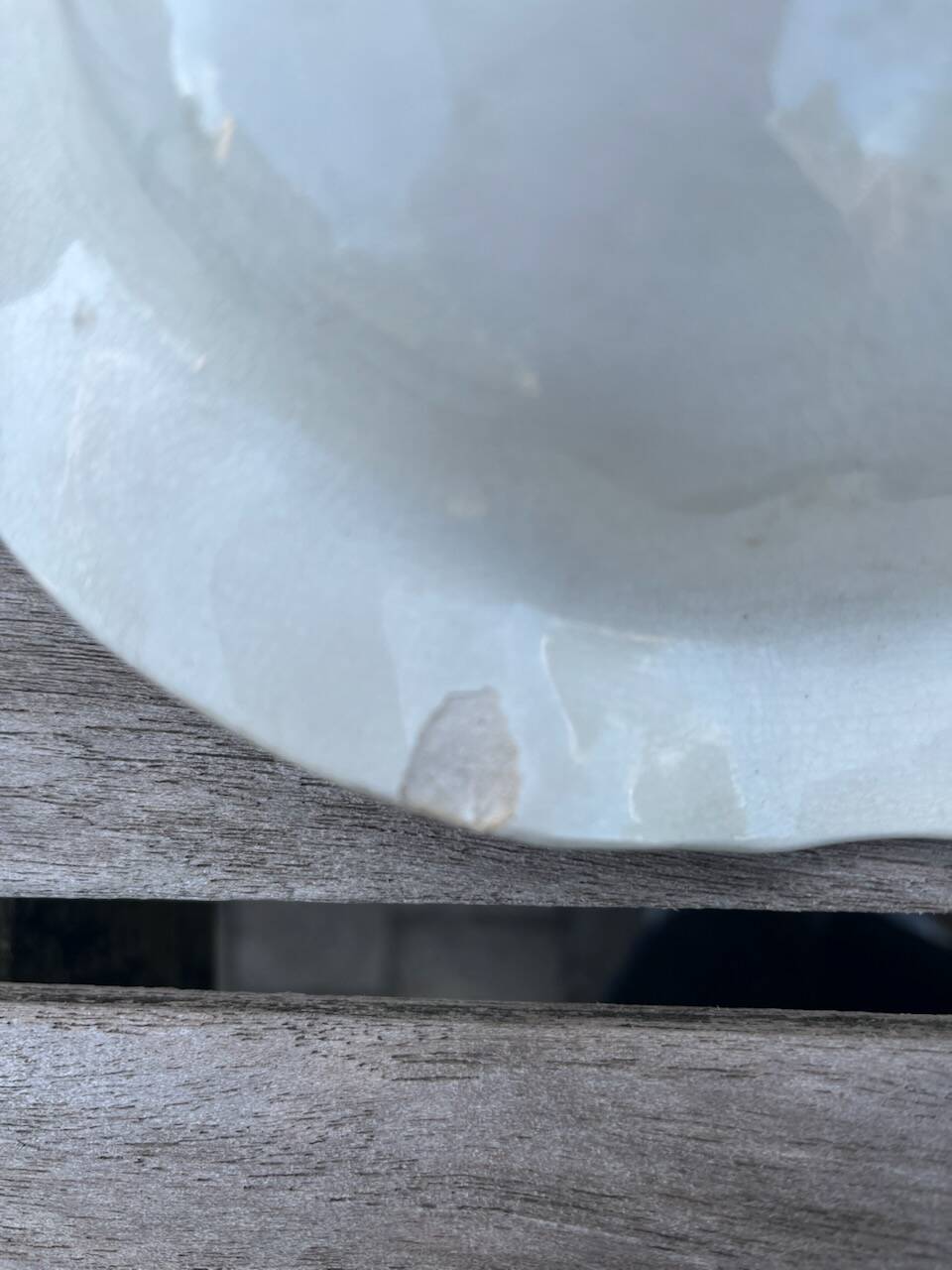 Salins asparagus dish in slip