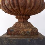 Cast iron Medici vase on base