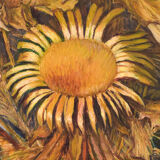 Still life with sunflowers and majolica jug