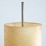 Lampadaire réglable en hauteur en résine et métal, années 1960