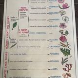 Old educational school poster, school