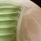 Asparagus plates