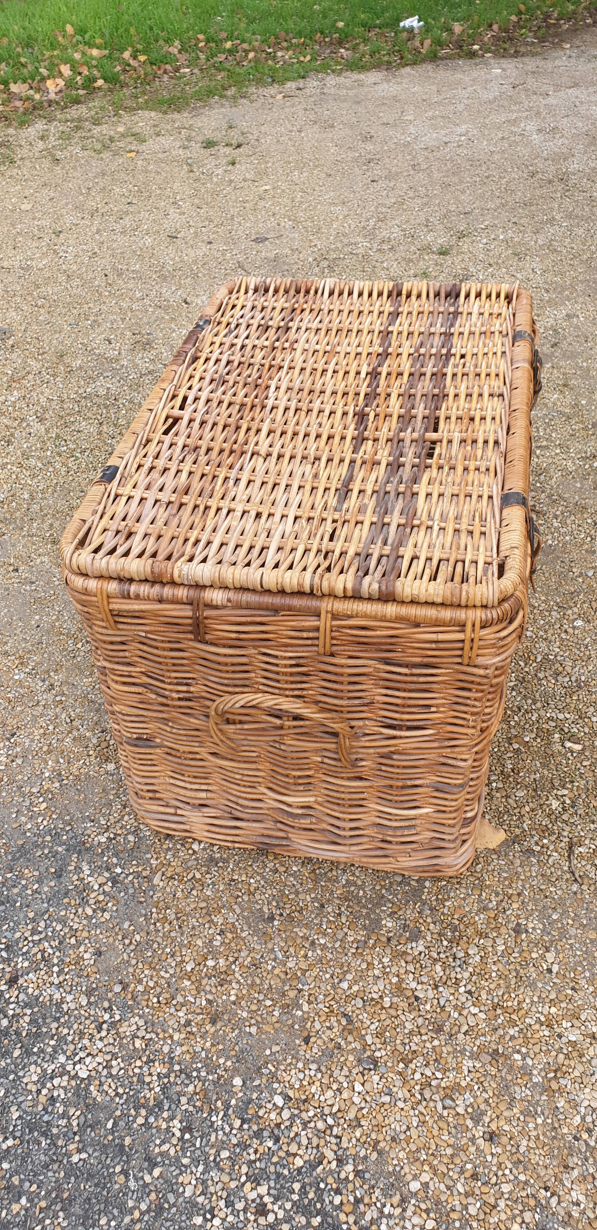 Rattan trunk