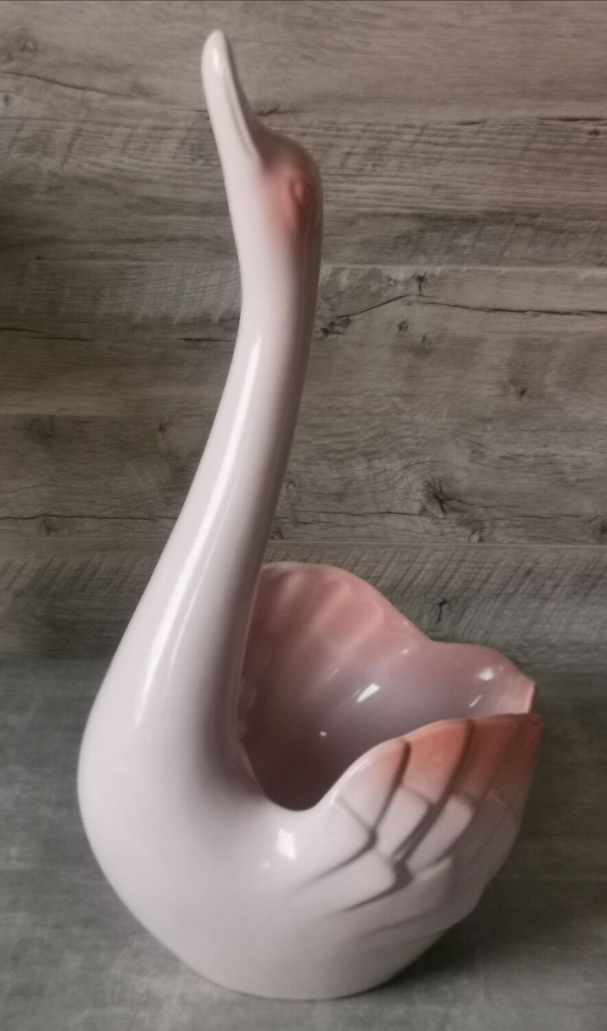 Swan Rigon Roberto Italy