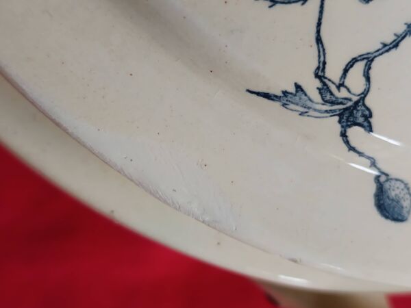 soupière ancienne Terre de Feu 1920/1930 décor oiseaux et insectes