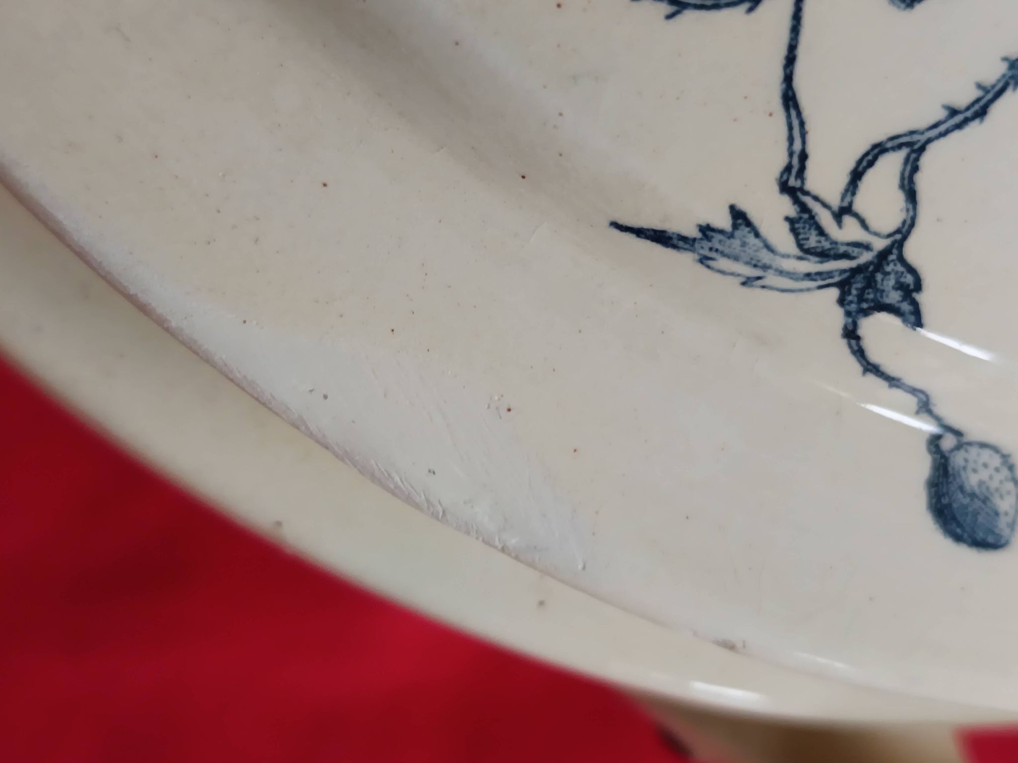 antique soup tureen Terre de Feu 1920/1930 with a decoration of birds and insects