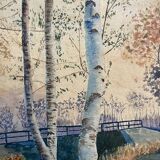 20th century undergrowth landscape