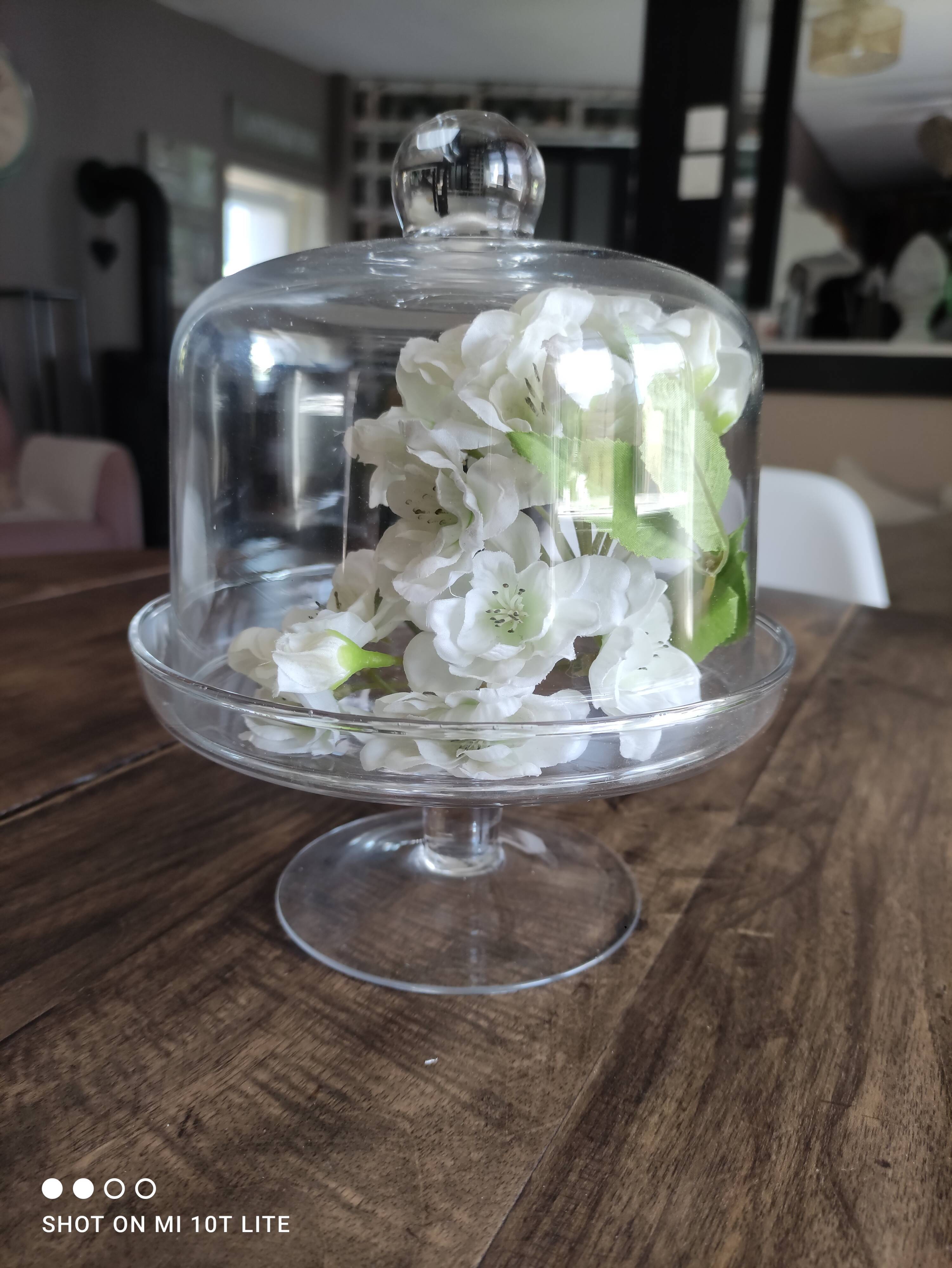 Glass bell on low stand
