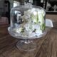 Glass bell on low stand