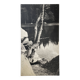 Old XXL black and white tree photograph