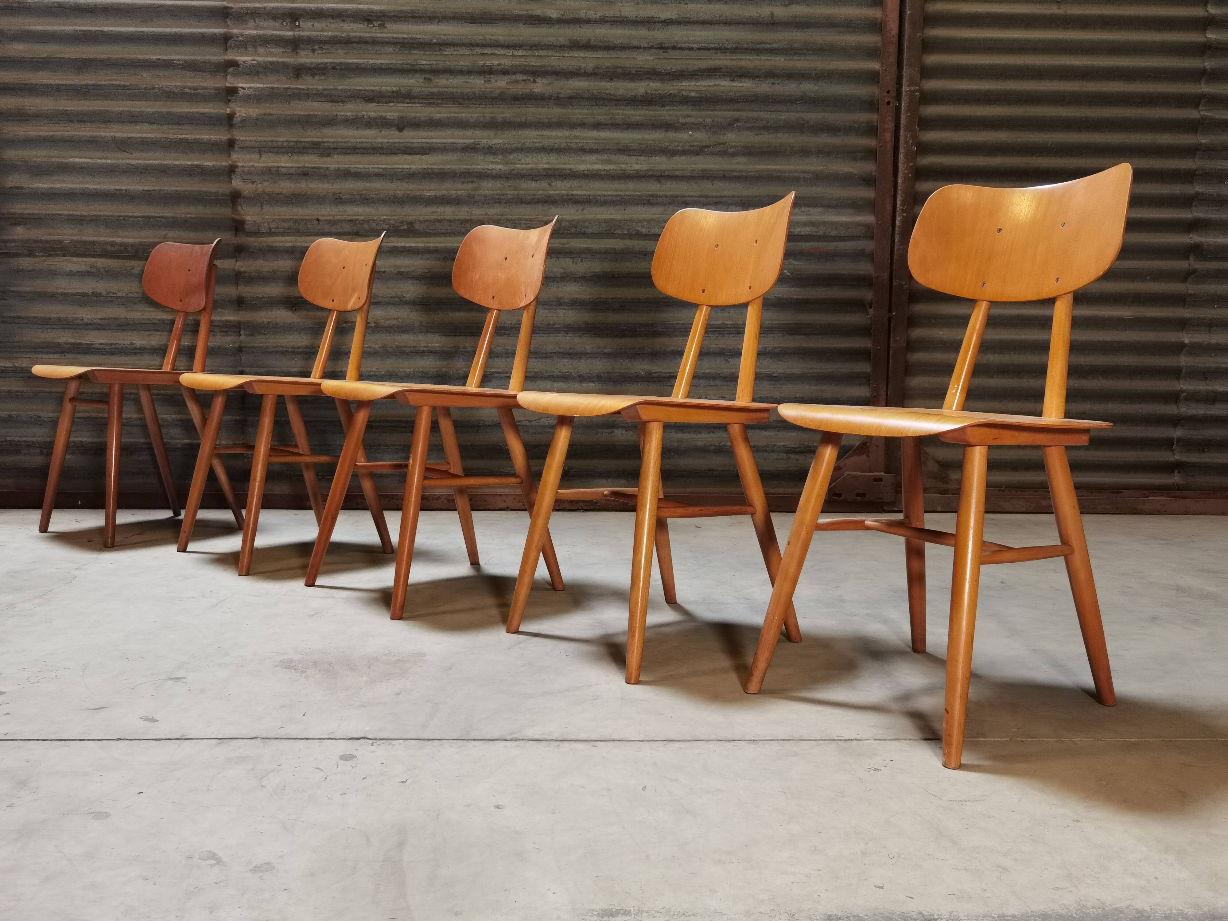 Set of 5 all-wood chairs published by Ton 1960
