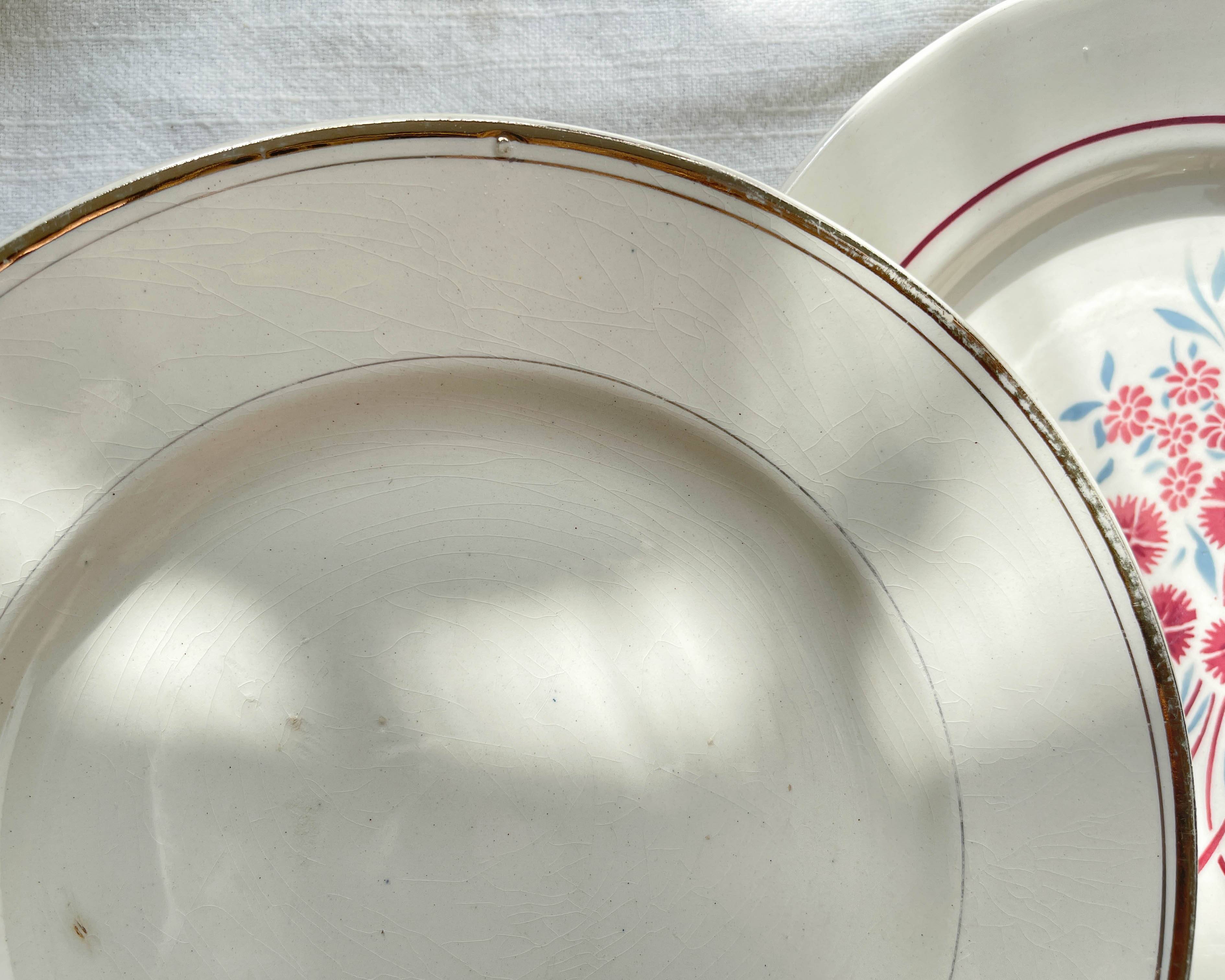 6 Mismatched Vintage Plates with Floral Pattern