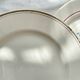 6 Mismatched Vintage Plates with Floral Pattern