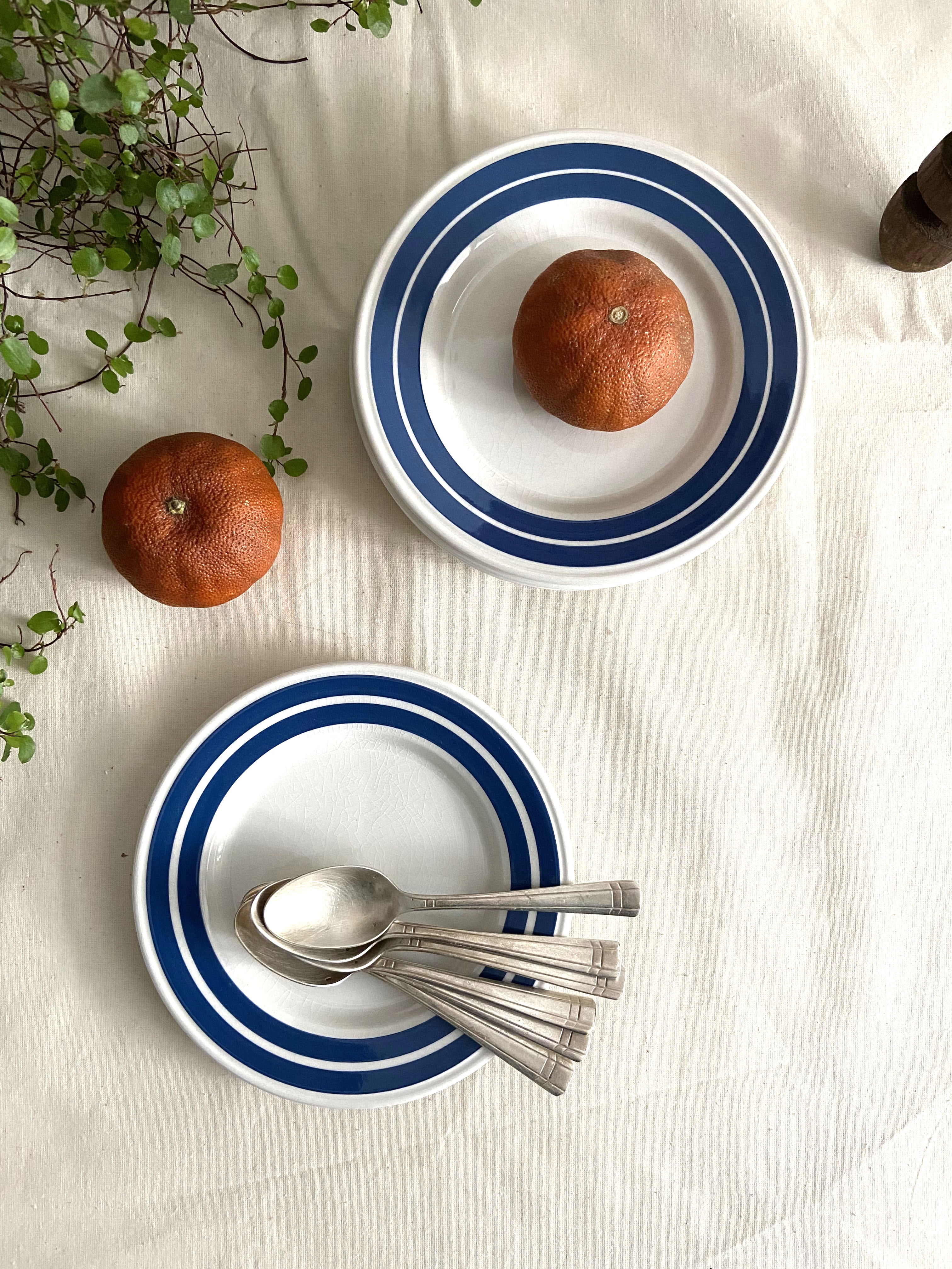 Set of 6 dessert plates in blue striped earthenware