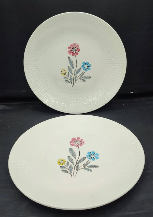 Lot 8 pièces Vaisselle Vintage Céranord Saint-Amand Aster Années 50-60