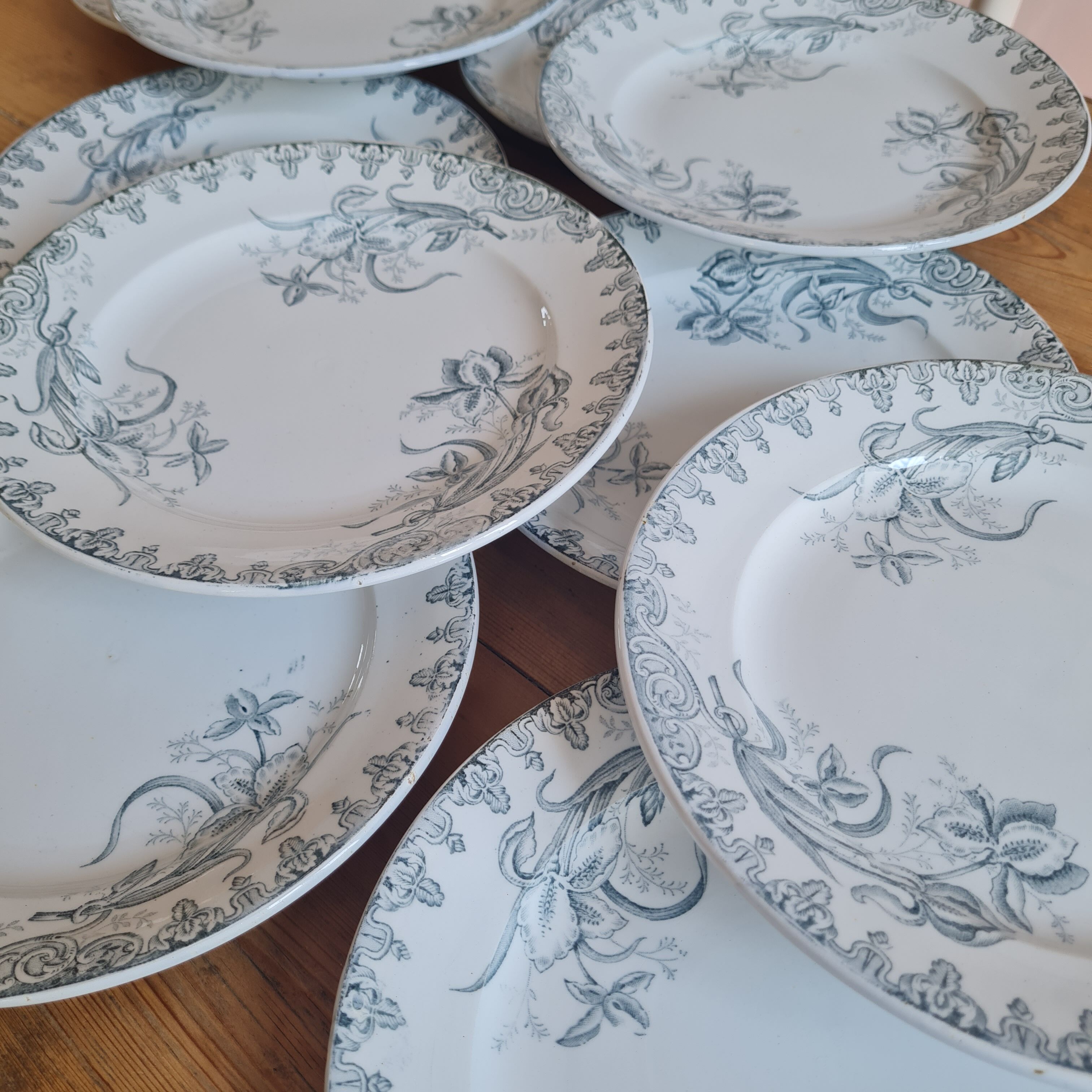 Set of 10 plates in iron earth