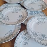 Set of 10 plates in iron earth