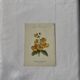 🌿 Botanical Plate Old Naturalist Engraving 19th Century Double-Sided