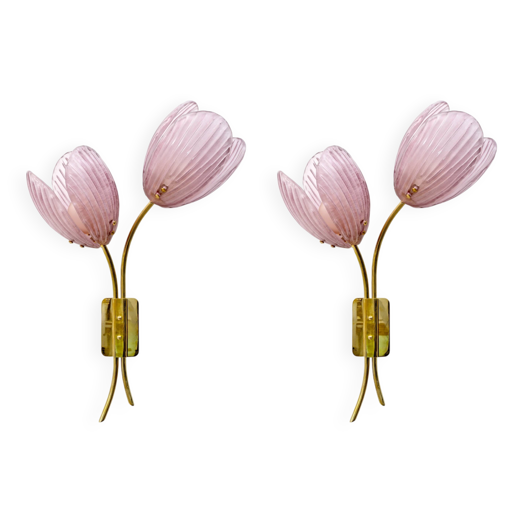 Pair of Tulips Murano Glass and Brass Sconces
