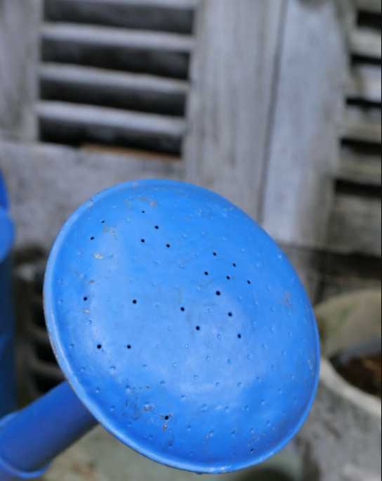 Blue zinc watering can