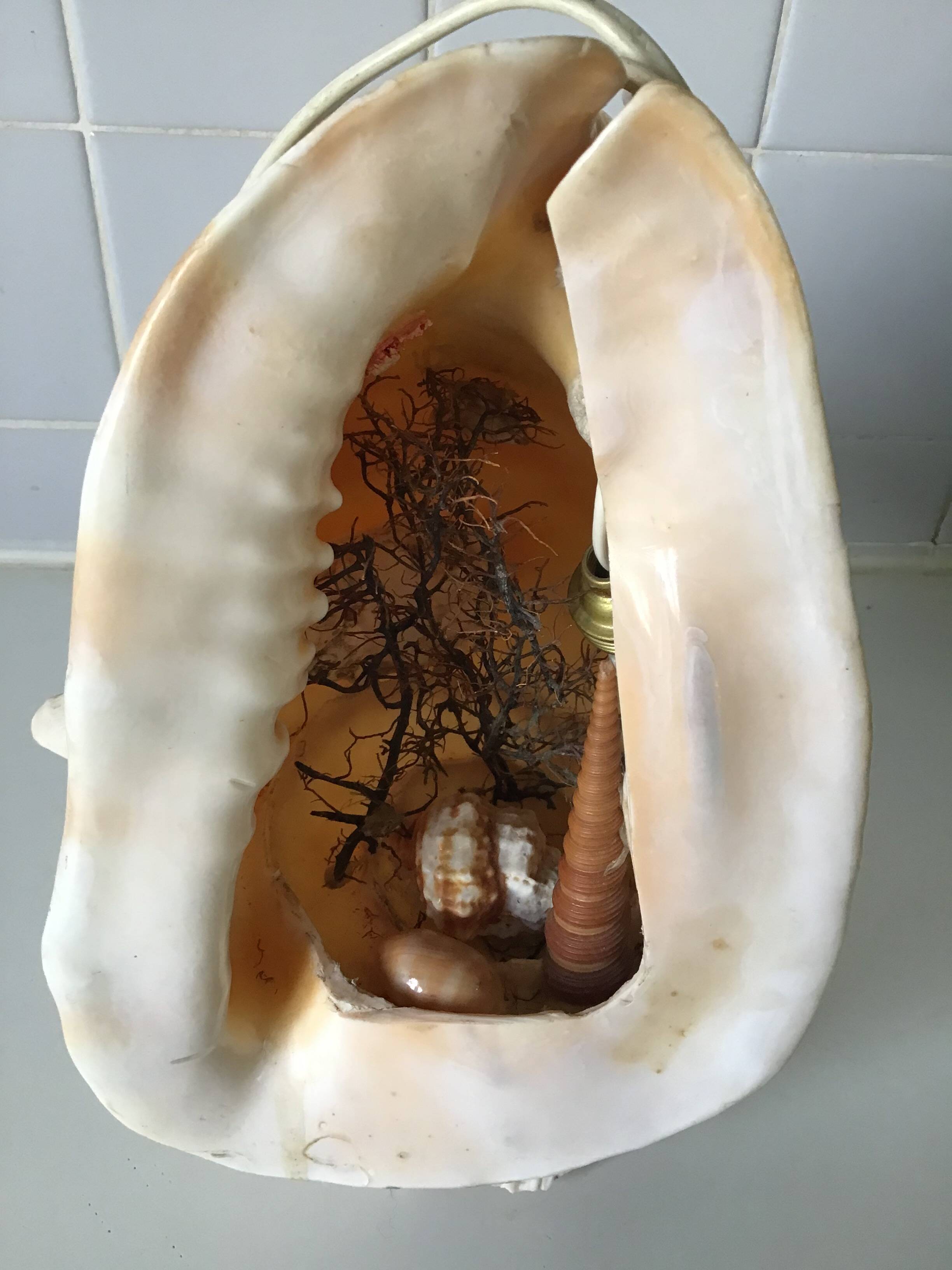 Vintage shell bedside lamp