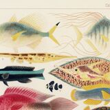 Poster about exotic fish, based on an old lithograph from 18